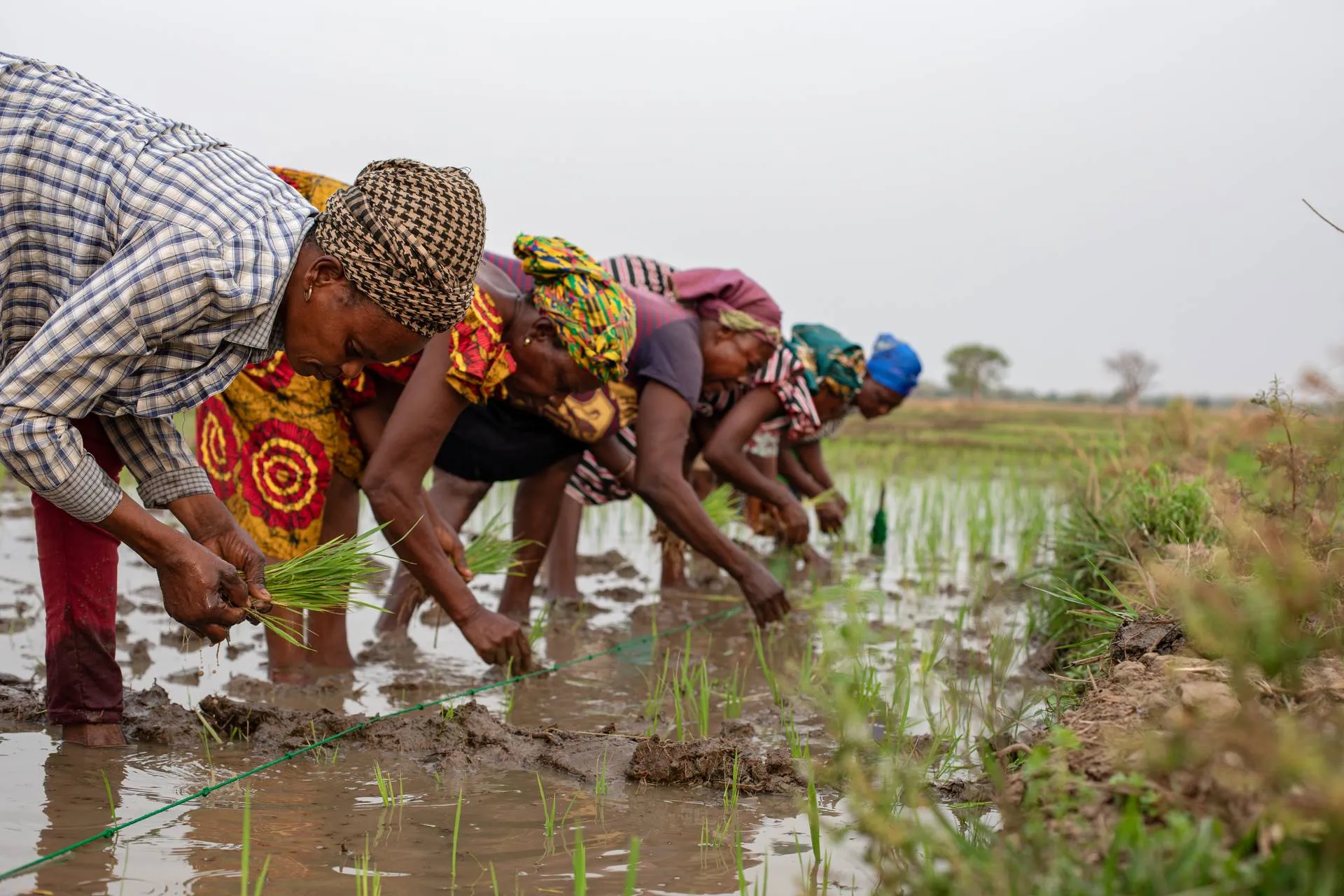 Women in agriculture