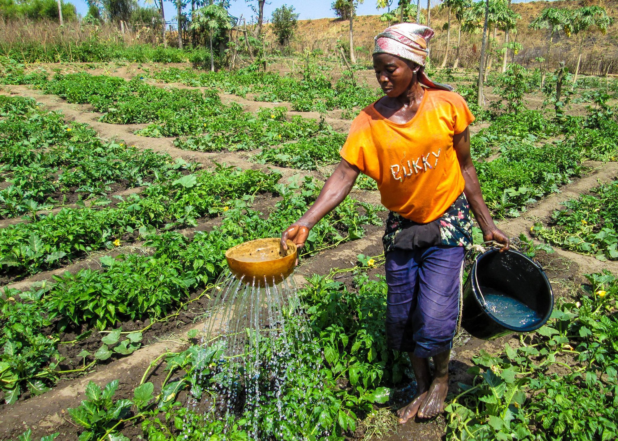 Agricultural training